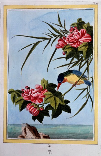 Bird on a branch (Bird fly?) Gouache of the 18th century Dijon, municipal library by School Chinese