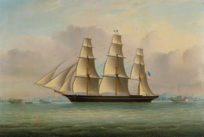Clipper Ship 