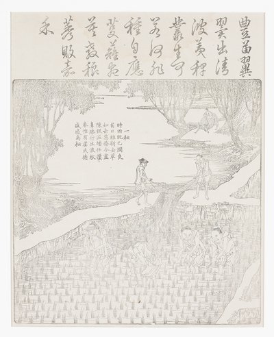 Irrigating the rice by School Chinese