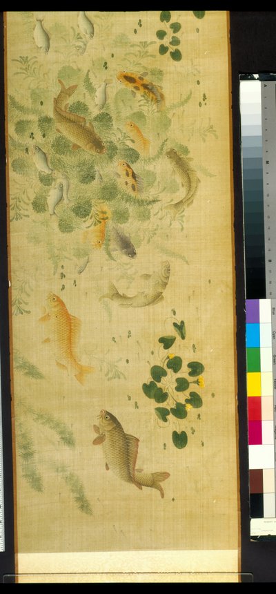 Myriad Fish In Audience With Carp by School Chinese