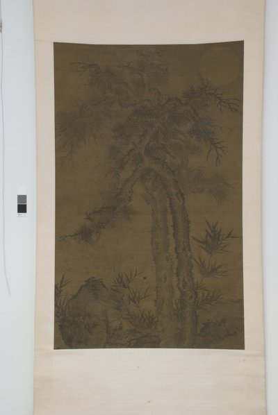 Old Trees Beneath the Moon by School Chinese