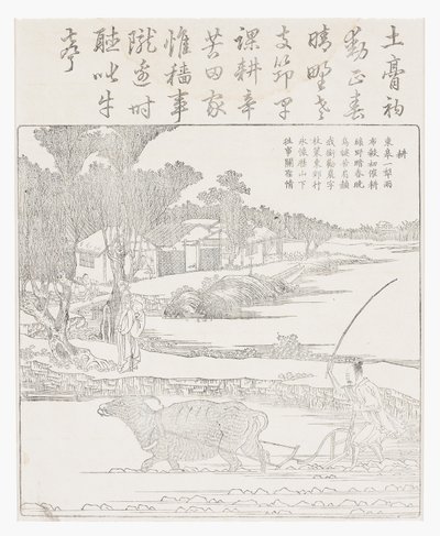 Plowing with a Water Buffalo in Muddy Rice Paddy by School Chinese