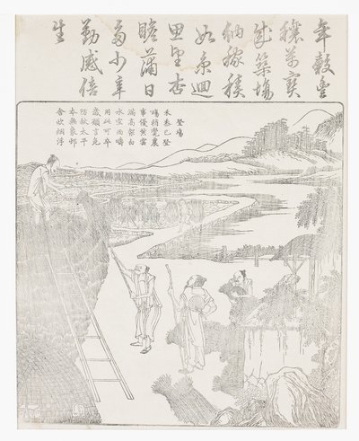 Stacking the Rice After Drying on Wooden Horses by School Chinese