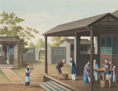 Tea production, c. 1820 by School Chinese