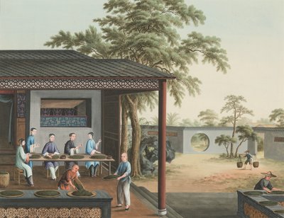 Tea production, c. 1820 by School Chinese