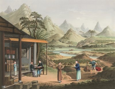 Tea Production by School Chinese