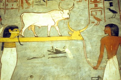 Painting, Tomb of Rameses I, Gods of the underworld tethered to Hathor, towing solar barque by School Egyptian