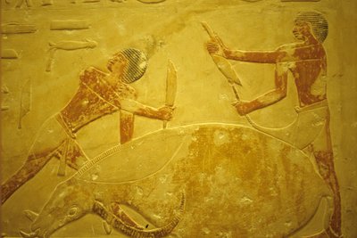 Ancient Egypt, Wall carving/painting, Mastaba/Tomb of Idout, Saqqara, 2323-2150 BC, Bull slaughtered for sacrifice by School Egyptian