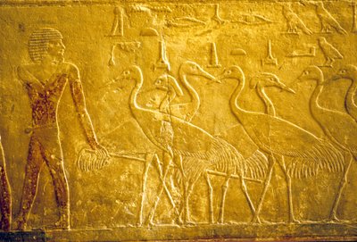 Wall Carving, Mastaba of Ti, Saqqara, 5th Dynasty, A Farmer Leading Tame Cranes by School Egyptian