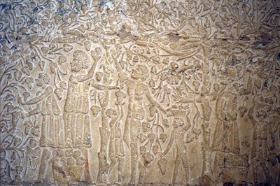 Ancient Egypt, Wall carving, Tomb of Petosiris, Tuna el Gebel, 300 BC, Grape picking for wine making by School Egyptian