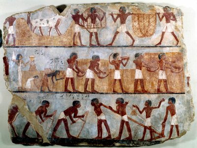 Egyptian antiquities: mural painting from the Theban tomb of Ounsou: the work of the fields: ploughing, planting, harvesting, carrying sheaves, deplanting and stripping of grains. Reg of Thutmosis (Tuthmosis or Thutmus) III by School Egyptian