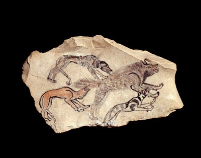 Ostrakon (or ostracon) (plural: ostraca or ostraka) in limestone representing three dogs hunting a hyena. 1300-1070 BC. From Deir el Medineh. Paris, Louvre Museum by School Egyptian
