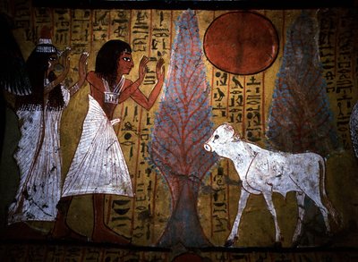 Luxor - Thebes: Left bank of the Nile. Website of DEIR EL MEDINEH: Village and necropolis of artisans. Detail of a mural of a tomb showing the calf, still thin and fragile legs, embodies the future apis. 19th Dynasty. by School Egyptian