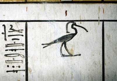 Luxor, Thebes: Valley of the Kings, Tomb of Amenophis III, Egyptian pharaoh of the 18th dynasty (-1410 - -1370) by School Egyptian