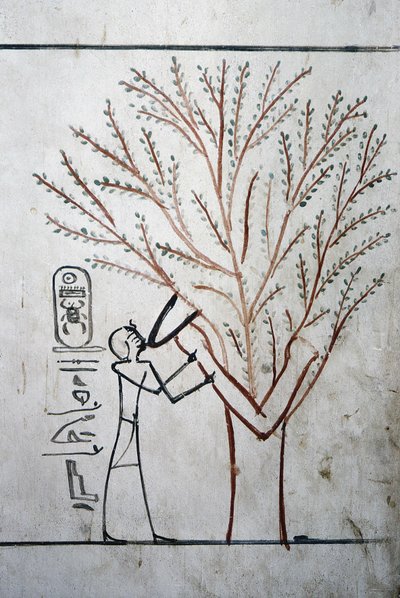 Luxor, Thebes: Valley of the Kings. Tomb of Thutmosis III (-1504 - -1450), Pharaoh of Egypt by School Egyptian