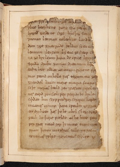 A Page of Beowulf from Folios Sometimes Called The 