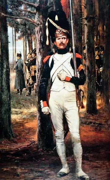 Imperial Guardsman of Napoleon