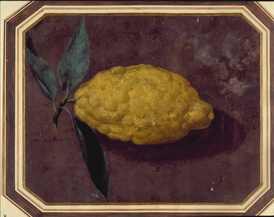 A Lemon by School European