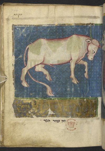 A Bull, from a Miscellany of Biblical and Other Texts (