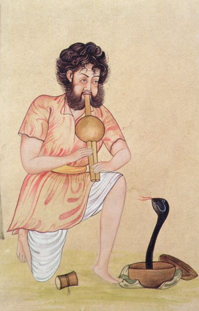 Snake Charmer by School Indian