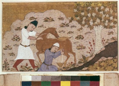 Onager Milking by School Iranian