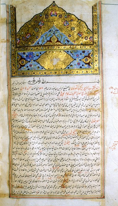 Page from The Canon of Medicine by Avicenna by School Iranian