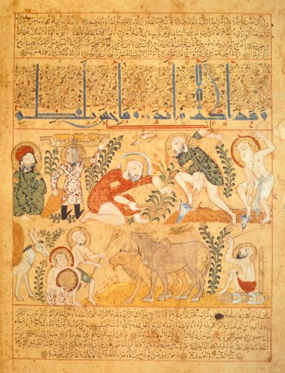 Andromenadros, The Pharmacist, Surveys Agricultural Work by School Iraqi