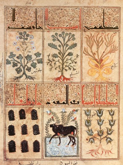 Illustration from the 