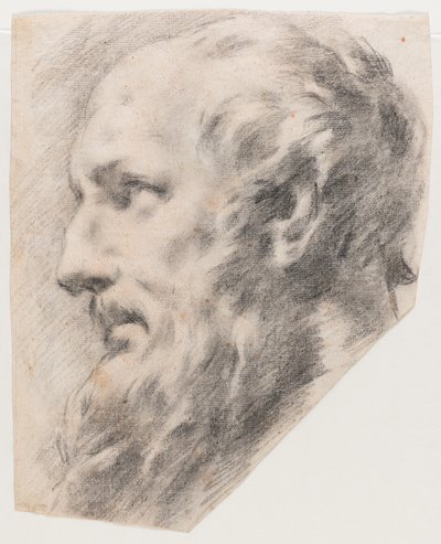 Profile Head by School Italian
