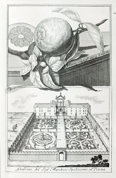 Villa of Marquis Spolverini of Verona, from "Villas, Gardens and Landscapes in Venice" by A. Volkamer by School Italian