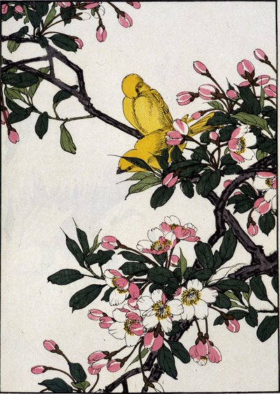 Serins on a blooming cherry branch - Japanese print by Japanese School