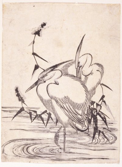 Two Herons by School Japanese