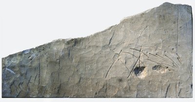 Hebrew Burial Inscription from Beth Loya, Judean Foothills, Israel, 6th Century BC by School Levantine