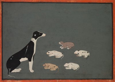 Dog with Pups, c.1780 by School Mughal