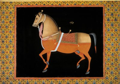 Moghol art: representation of a stallion by School Mughal