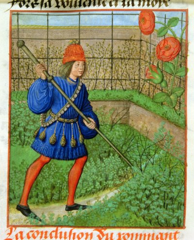 The lover attains the rose, from the 