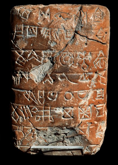 Inscriptions in Linear Elamite; Undeciphered writing by School Persian