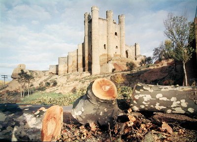 The Castillo de Coyanza, Built 14th-15th Century by the Counts of Valencia by School Spanish