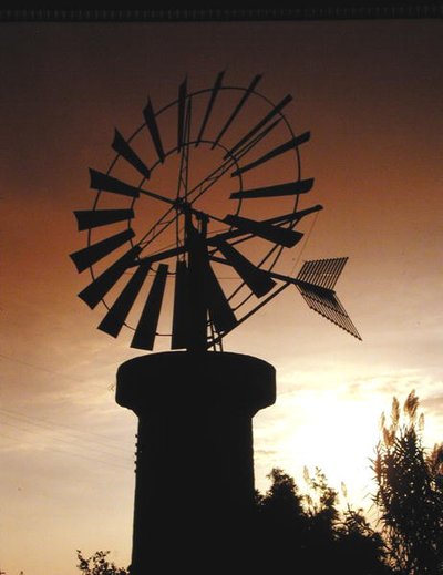 Windmills on Es Pla, Palma by School Spanish
