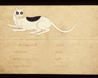 Leaf of a Manuscript on Siamese Cats, Early 20th Century by School Thai