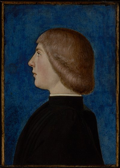 Portrait of a Young Man by School of Ferrare