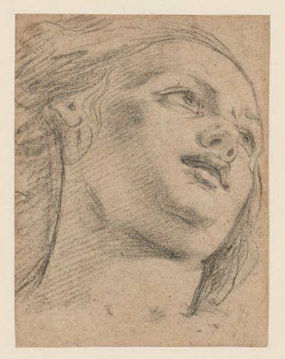Female Head Study Looking Up to Right (recto); Study of Two Figures Supporting an Object (verso) by School of Guido Reni
