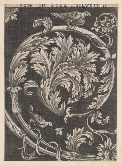 Speculum Romanae Magnificentiae: Ornamental foliage from churches by School of Raphael