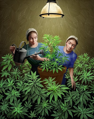 Grow by Scott McKowen