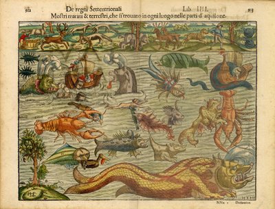 Monsters of Sea & Land... by Sebastian & Magnus Olaus (1490-1557) Münster