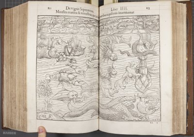 Cosmographia, Fol 852-853, 1544 by Sebastian Munster