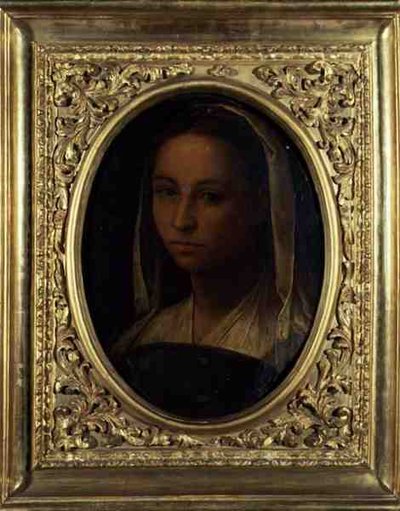 Portrait of a Girl by Sebastiano del (c.1485 1547) Piombo
