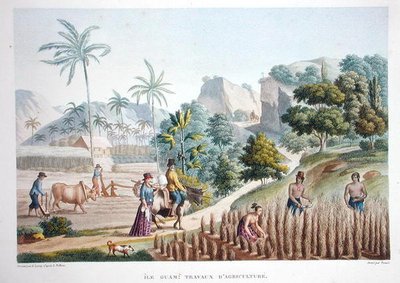 Farm workers, Guam, Philippines, from 