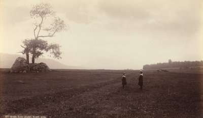 South from Ames, North Elba, c. 1888 by Seneca Ray Stoddard