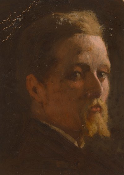 Portrait of a Man by Severin Falkman